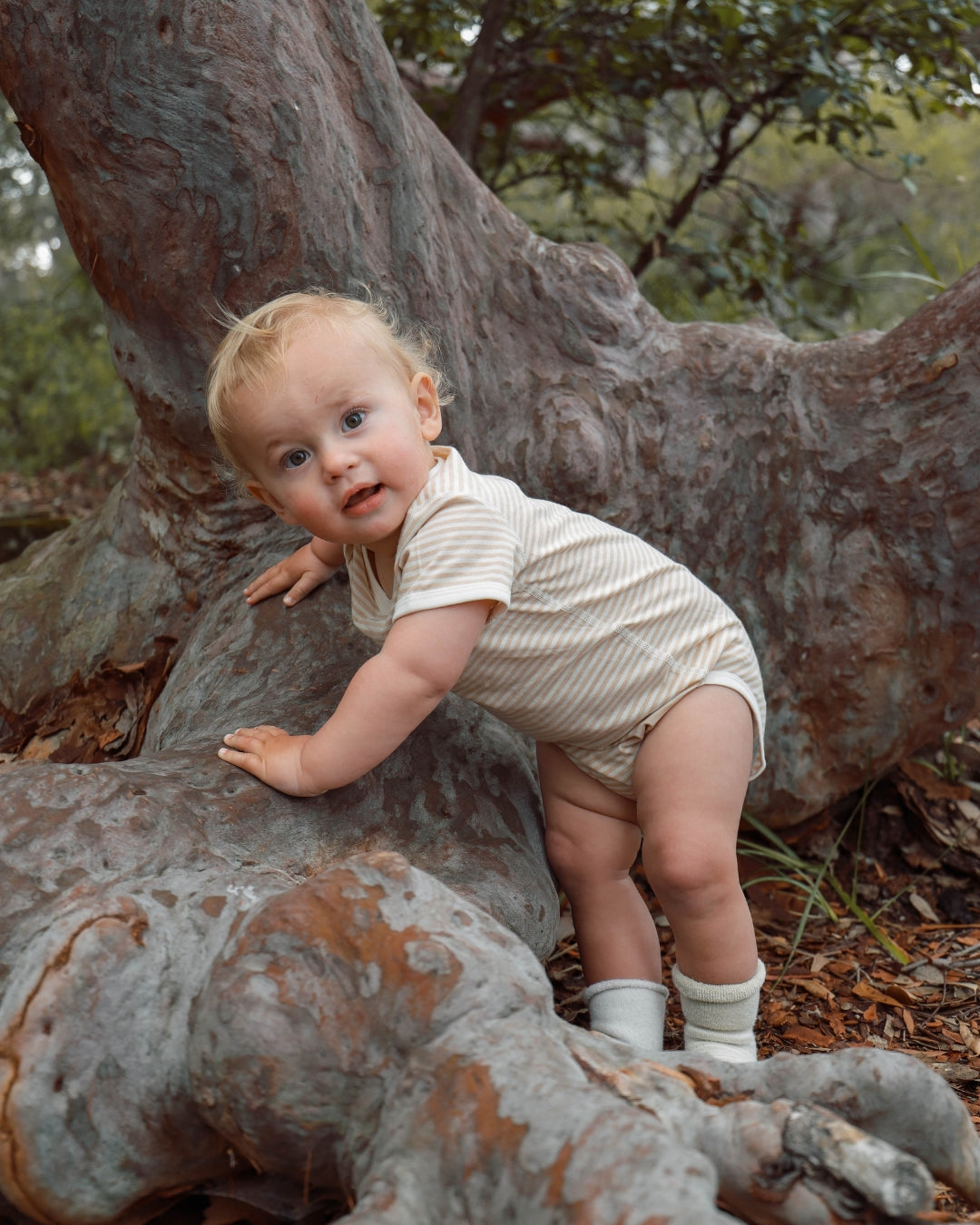 Organic Cotton Stripe Jersey Bodysuit