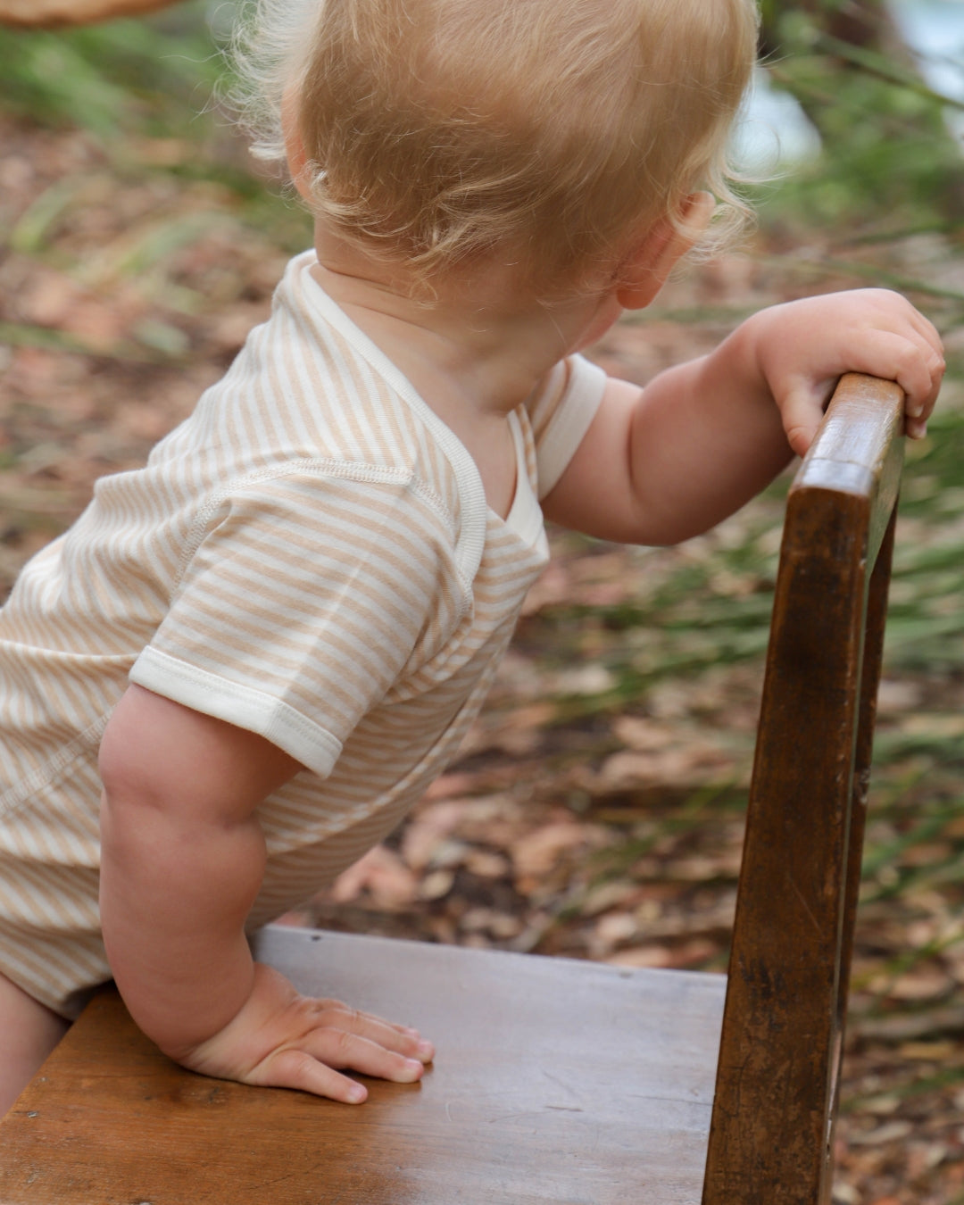 Organic Cotton Stripe Jersey Bodysuit