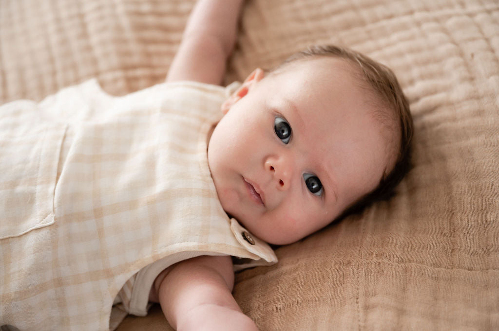 Organic Cotton Gingham Sleeveless Baby Overall
