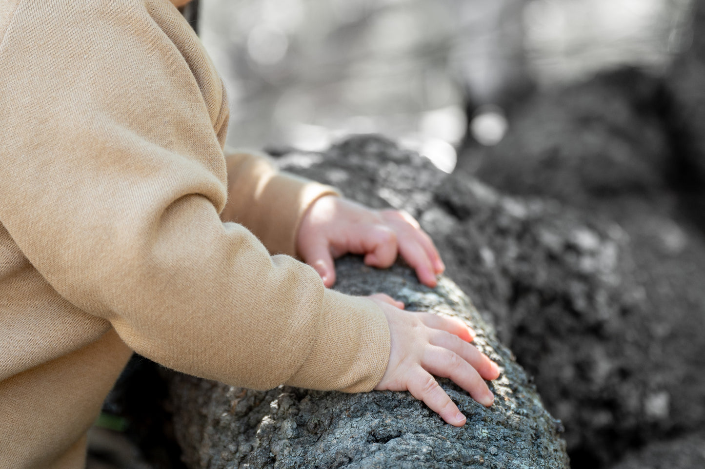 Organic Fleece top detail - Undyed 