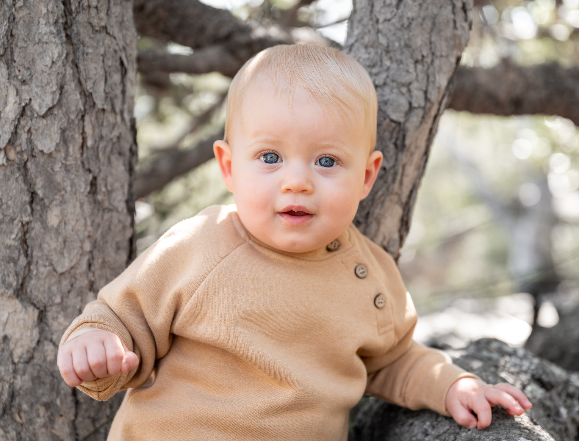 organic brushed fleece top undyed